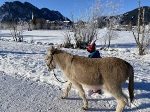 Eselwanderung in Pfronten